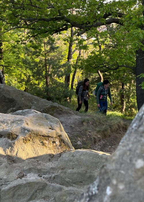 Geführte Klippen-Wanderung über einen besonderen Rundweg im Oberharz