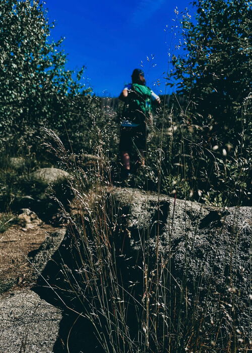 Geführte Klippen-Wanderung über einen besonderen Rundweg im Oberharz