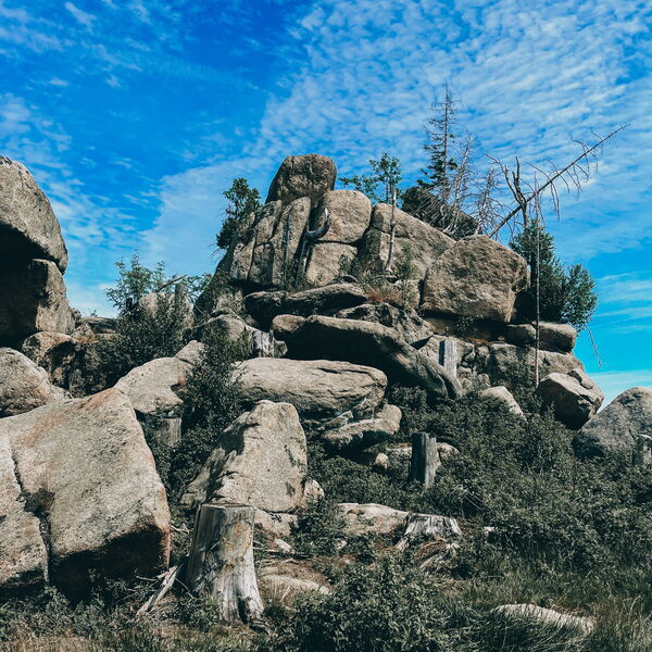 Geführte Klippen-Wanderung über einen besonderen Rundweg im Oberharz