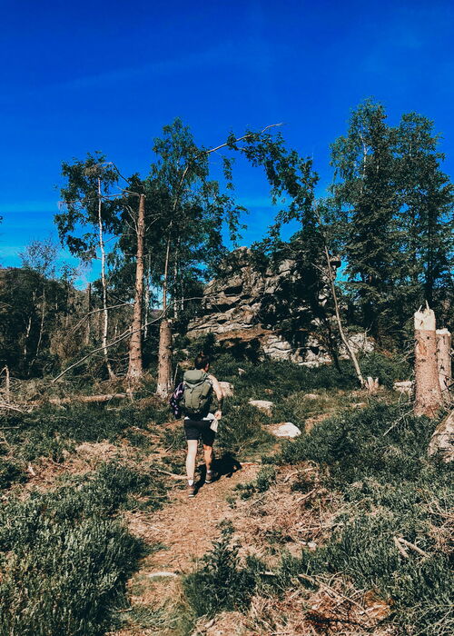 Geführte Klippen-Wanderung über einen besonderen Rundweg im Oberharz