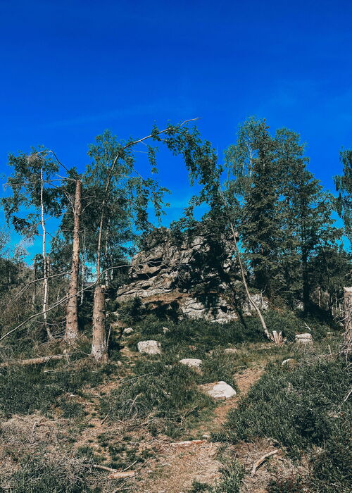 Geführte Klippen-Wanderung über einen besonderen Rundweg im Oberharz