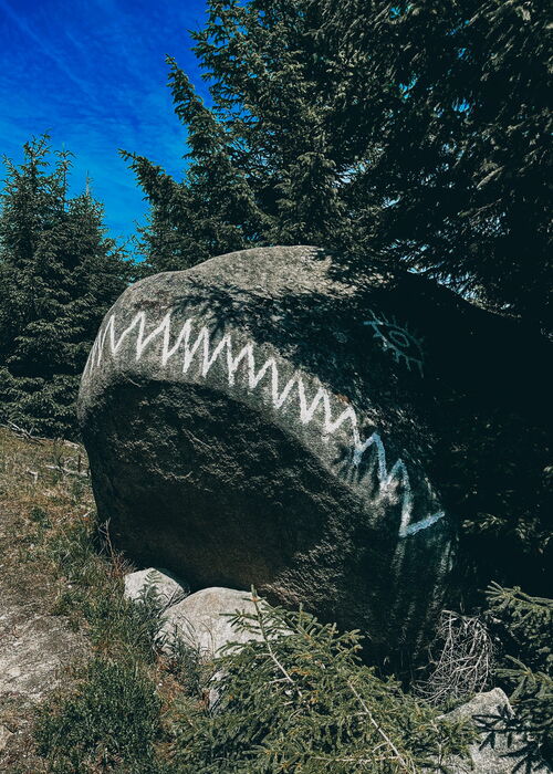 Geführte Klippen-Wanderung über einen besonderen Rundweg im Oberharz