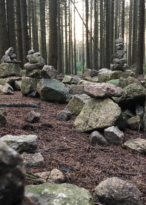 Achtsamkeits-Wandertour im Harz von Elend nach Schierke
